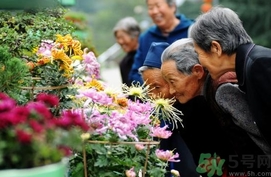 重陽節(jié)是陰歷還是陽歷？重陽節(jié)是什么意思？