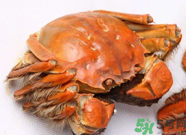 河蟹死了一天能吃嗎？河蟹死了多久不能吃？