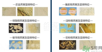 去香港買燕窩哪里好？香港哪里買燕窩比較好正宗？