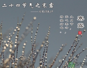 寒露是什么意思？寒露是幾月幾日