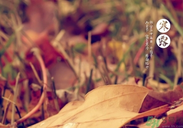 寒露是什么意思？寒露是幾月幾日