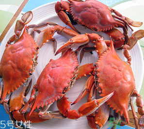 梭子蟹和飛蟹的區(qū)別？飛蟹是梭子蟹嗎？
