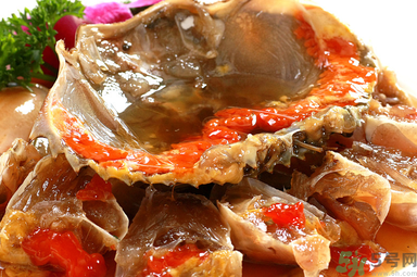 膏蟹是河蟹還是海蟹？膏蟹是什么蟹？