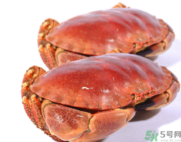 面包蟹多少錢一斤？面包蟹多少錢一只？