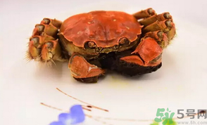 珍寶蟹和面包蟹的區(qū)別？珍寶蟹和面包蟹哪個好吃？