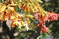 秋燥皮膚癢吃什么好？秋燥4妙招保護(hù)皮膚