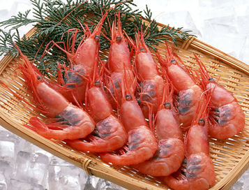 海蝦煮多長時間熟？海蝦怎么煮？