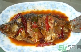 鯽魚(yú)可以放冰箱冷凍嗎?鯽魚(yú)能放冰箱保存嗎?