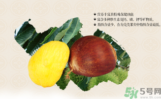 板栗和什么一起泡酒好？板栗泡酒的功效與作用有哪些？