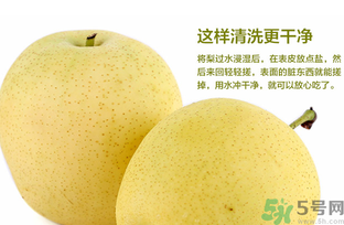 皇冠梨是雪梨嗎？皇冠梨和雪梨的區(qū)別