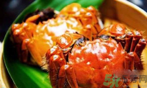 蟹膏是螃蟹的什么？蟹膏的營養(yǎng)價(jià)值