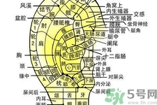 每天揉耳朵有什么好處？?揉耳朵的正確方法是什么？