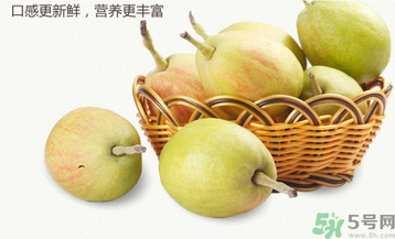 孕婦能吃香梨嗎？香梨孕婦可以吃嗎？