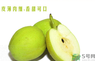 孕婦能吃香梨嗎？香梨孕婦可以吃嗎？