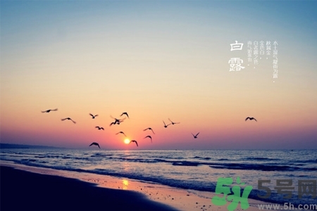 白露節(jié)吃什么？白露節(jié)的傳統(tǒng)美食有哪些？