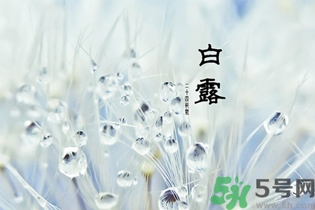 白露節(jié)吃什么？白露節(jié)的傳統(tǒng)美食有哪些？