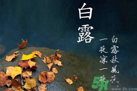 白露節(jié)吃什么？白露節(jié)的傳統(tǒng)美食有哪些？