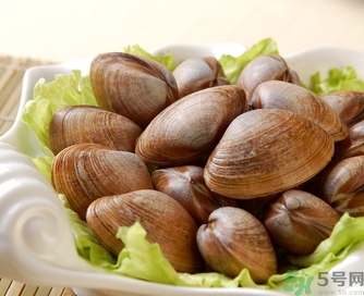蛤蜊是發(fā)物嗎？手術(shù)后可以吃蛤蜊嗎？