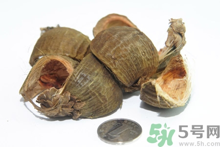 檳榔致癌嗎？檳榔對身體有什么影響嗎？