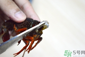 活蝦怎么處理干凈蝦線？活蝦怎么去蝦線？