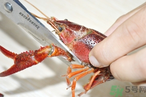 活蝦怎么處理干凈蝦線？活蝦怎么去蝦線？