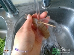 活蝦怎么處理干凈蝦線？活蝦怎么去蝦線？