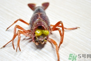 活蝦怎么處理干凈蝦線？活蝦怎么去蝦線？