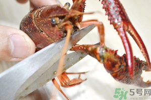 活蝦怎么處理干凈蝦線？活蝦怎么去蝦線？