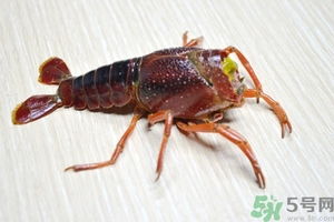 活蝦怎么處理干凈蝦線？活蝦怎么去蝦線？