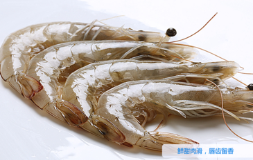 海蝦怎么保存？活海蝦怎么保存？