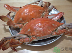 海蟹蒸多長時間？海蟹蒸多長時間最好吃？
