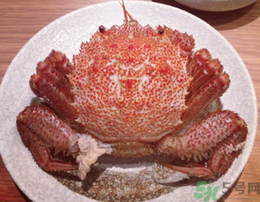紅毛蟹怎么吃？紅毛蟹怎么做好吃？