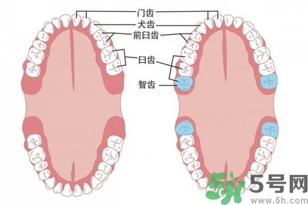 智齒橫著長怎么辦？智齒橫著長一定要拔了嗎？