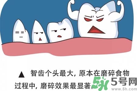 智齒橫著長怎么辦？智齒橫著長一定要拔了嗎？