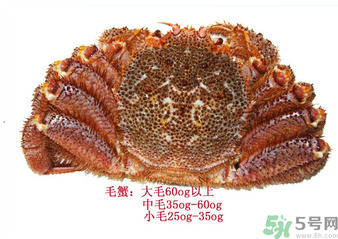 毛蟹蒸多長時(shí)間？毛蟹蒸多久會(huì)熟？