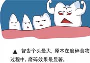智齒拔了好不好？智齒能不拔嗎？