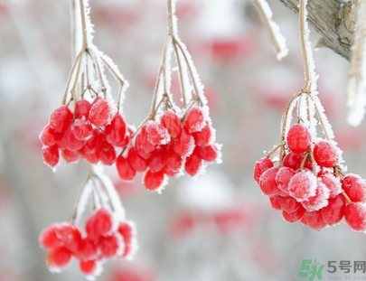 霜降是幾月幾日？霜降是什么意思？