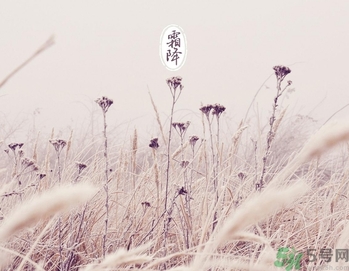 霜降是什么季節(jié)？霜降是秋天還是冬天？
