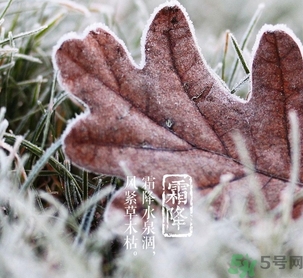 霜降出生的孩子好嗎？霜降出生的寶寶怎么取名？