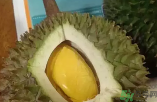 榴蓮吃多了會(huì)怎么樣？榴蓮吃多了好嗎？
