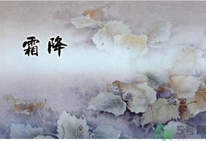 霜降為什么要吃柿子？霜降吃柿子有什么好處？