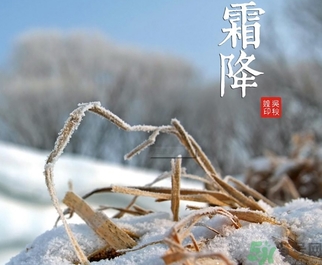 霜降為什么要吃柿子？霜降吃柿子有什么好處？