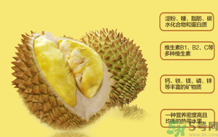 榴蓮不能和什么一起吃?吃榴蓮后不能吃什么? 榴蓮不能和什么一起吃?吃榴蓮后不能吃什么?
