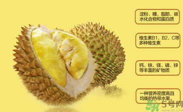 晚上吃榴蓮會(huì)胖嗎？晚上吃榴蓮會(huì)不會(huì)發(fā)胖？