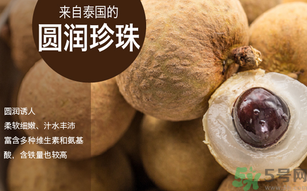 泰國龍眼和普通龍眼什么區(qū)別？泰國龍眼和普通龍眼哪個好？