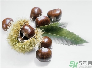 老人能喝板栗酒嗎？板栗怎么泡酒呢？