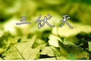 三伏天可以理發(fā)嗎？三伏天為什么不能理發(fā)？