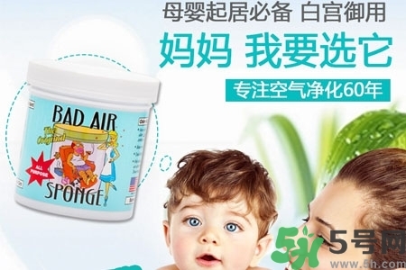 美國(guó)bad air sponge空氣凈化劑多少錢？