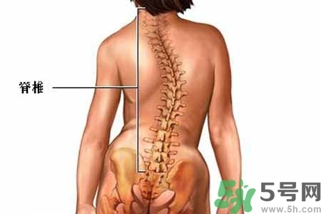 僵直性脊椎炎的癥狀有哪些？怎樣預(yù)防僵直性脊椎炎？