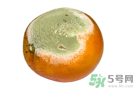 水果發(fā)霉了可以吃嗎？發(fā)霉的水果對人體有什么危害？